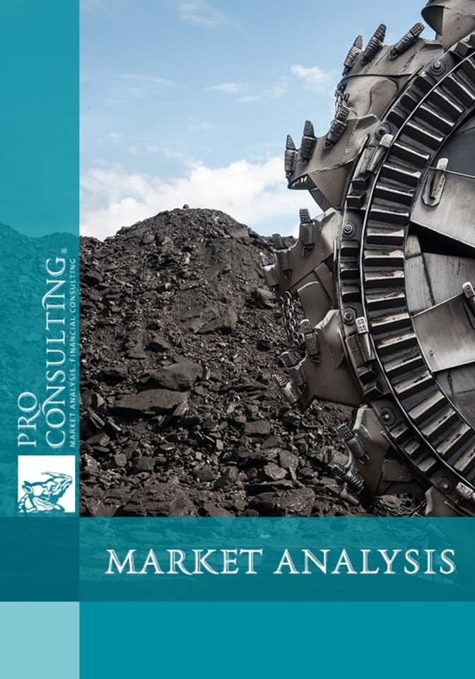 Market analysis of the coal industry in Ukraine. 2007